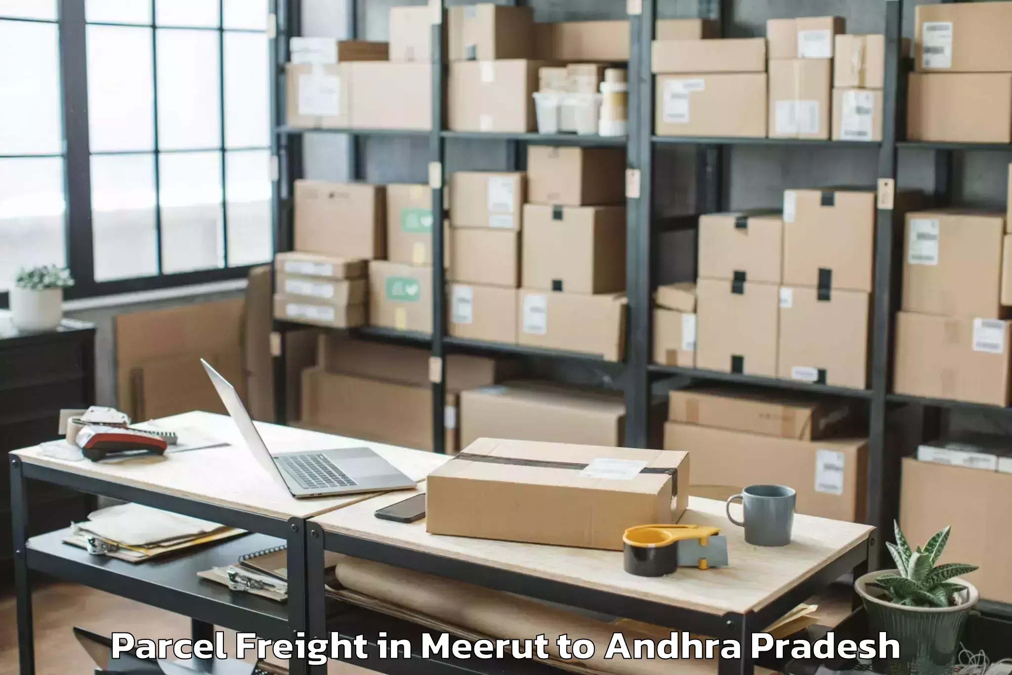 Book Meerut to Tuni Parcel Freight Online